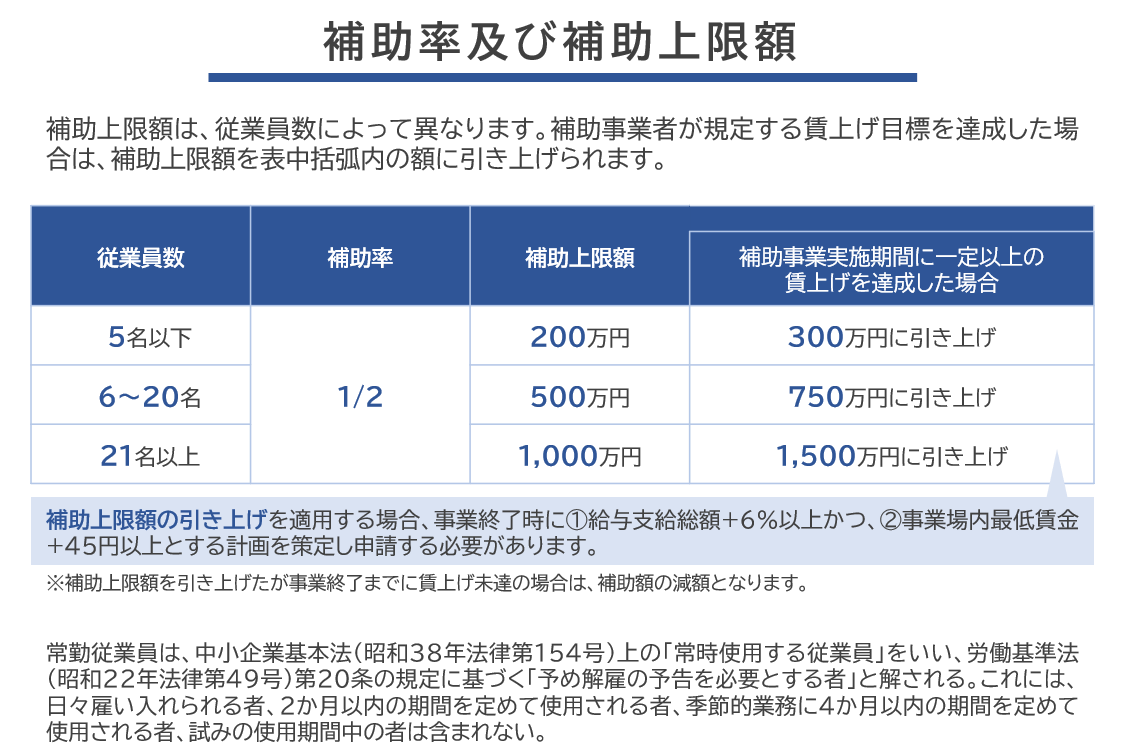 事業再構築補助金